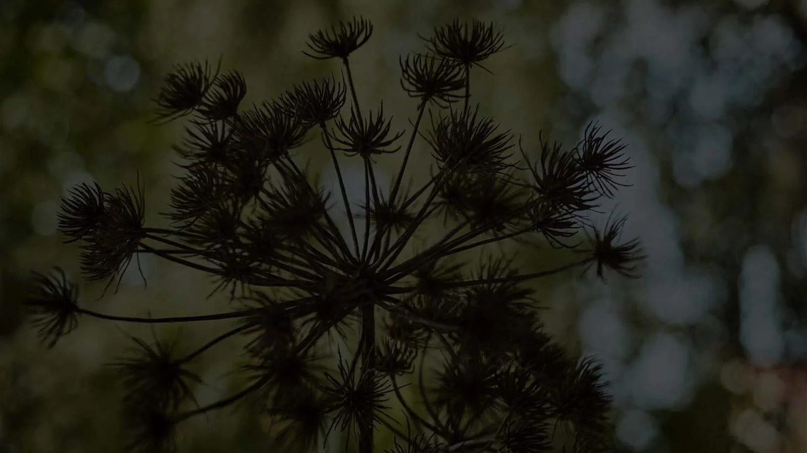 MundArt2015 — photo 11