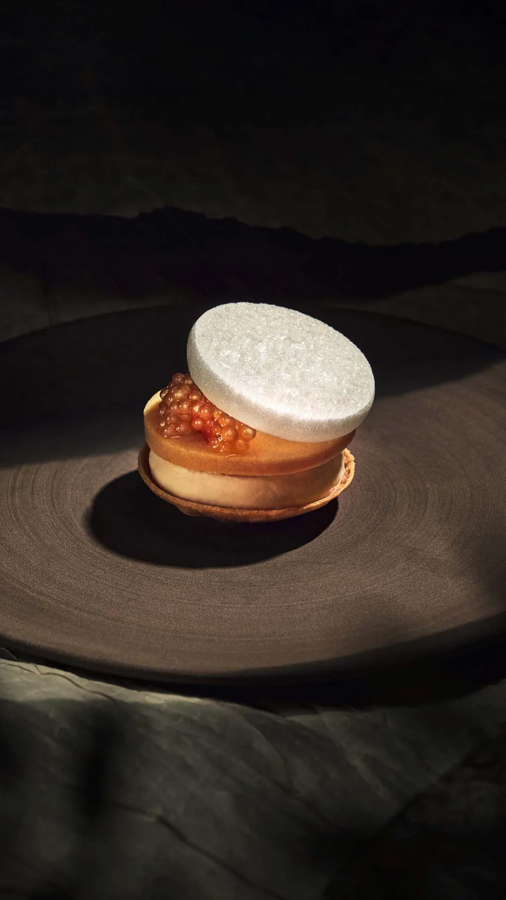 Coda — photo 25