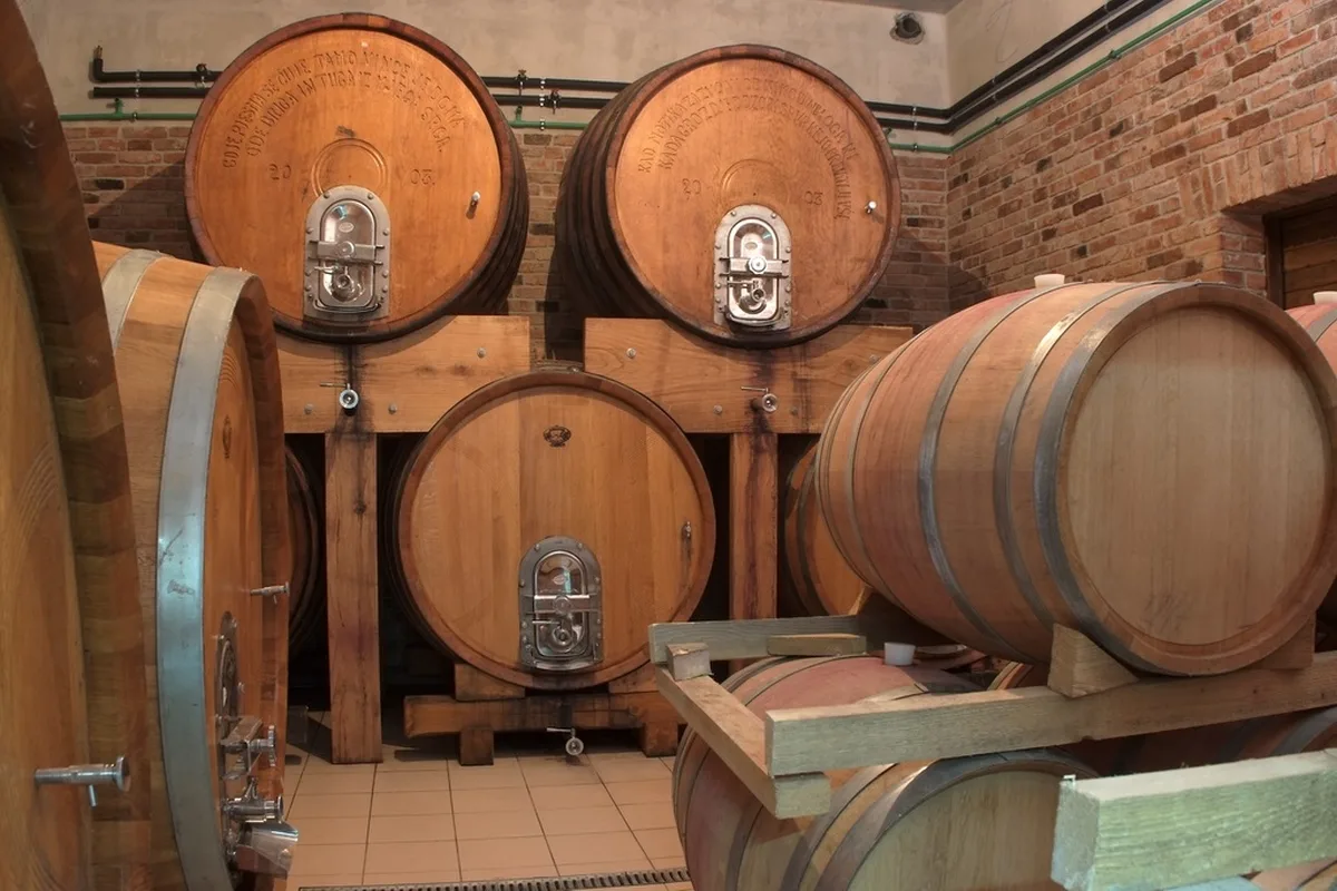 Bolfan Vinski Vrh — photo 61