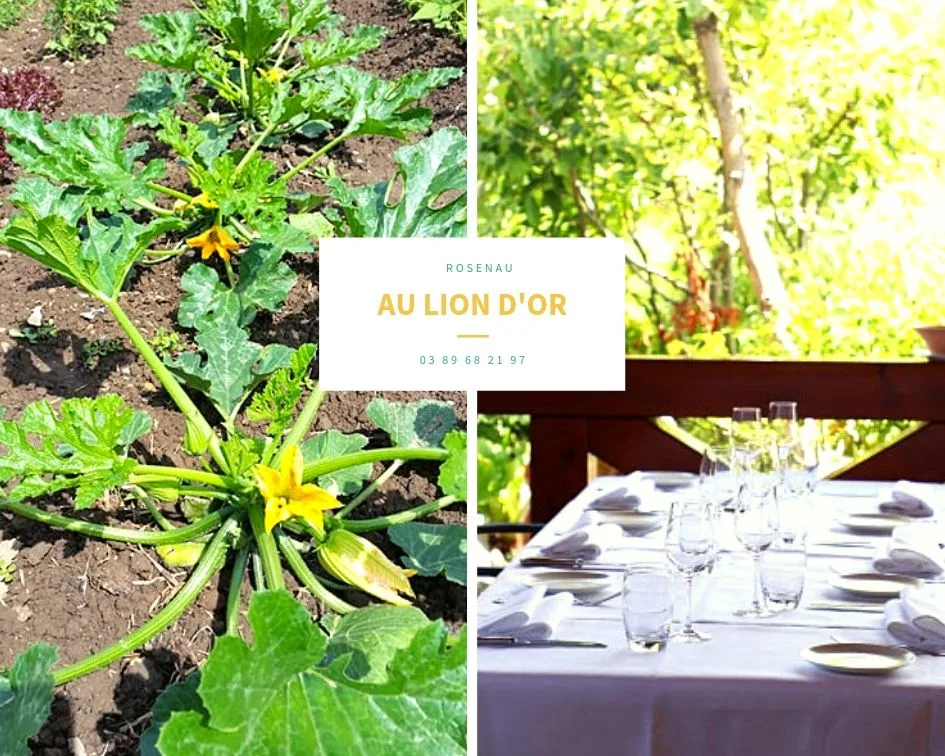 Au Lion d'Or - Chez Théo — photo 4