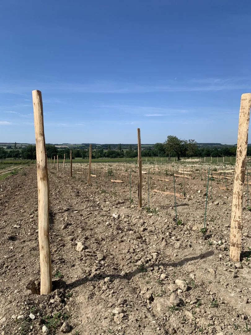 La Table du Pressoir — photo 57