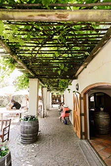Kleine Zalze Restaurant — photo 30