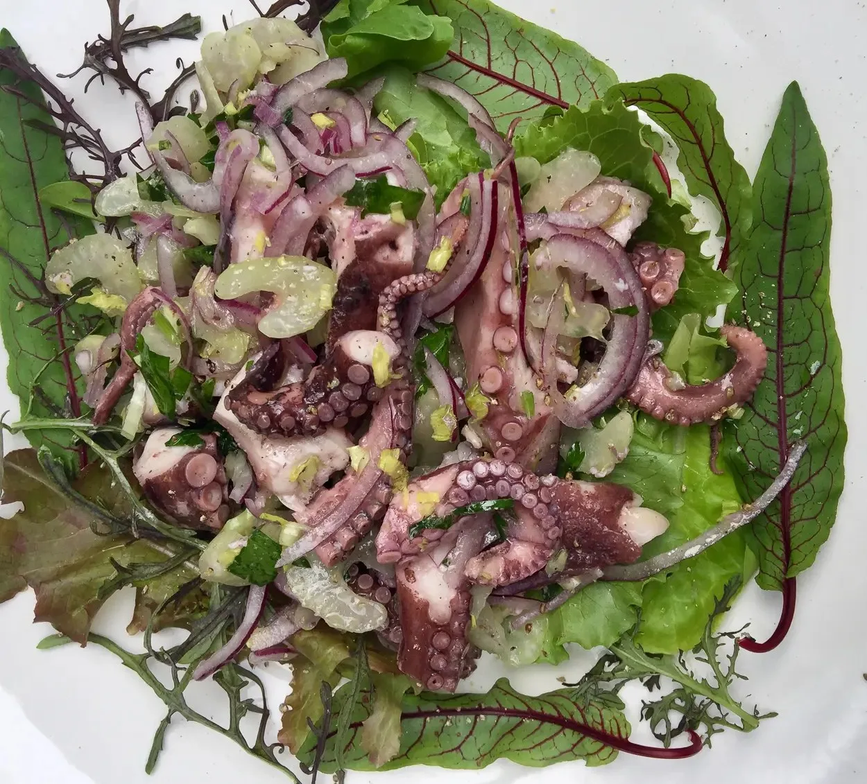KOGO Ristorante Dal 2006 — photo 77