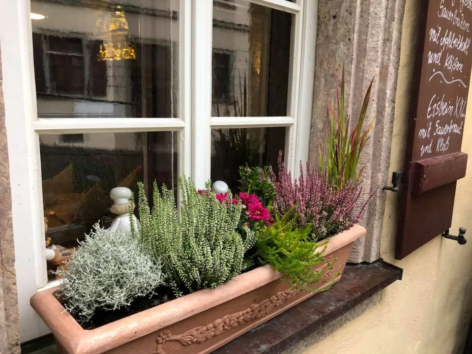 Kellerhaus — photo 19