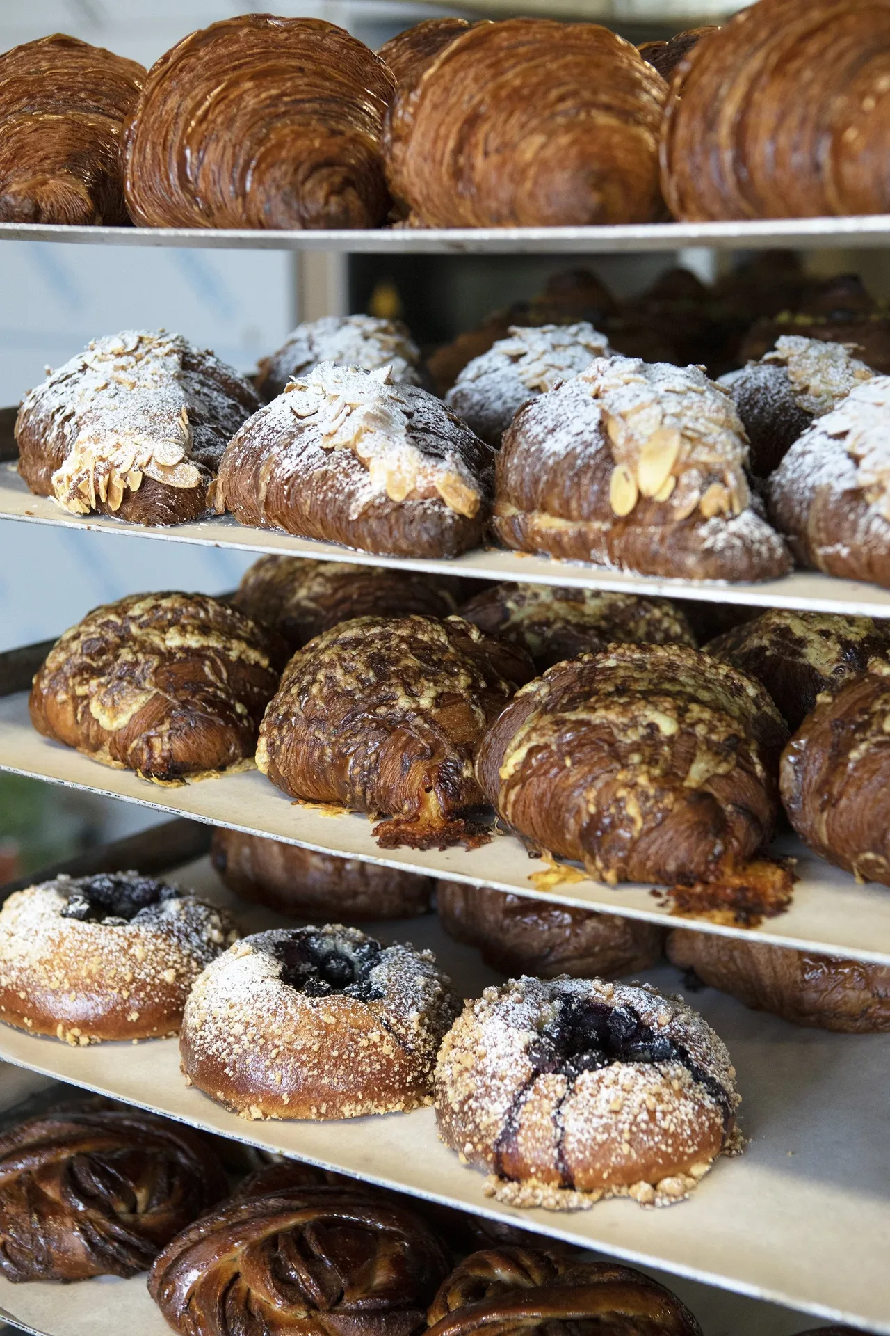 Bostock Bakery North Berwick — photo 15