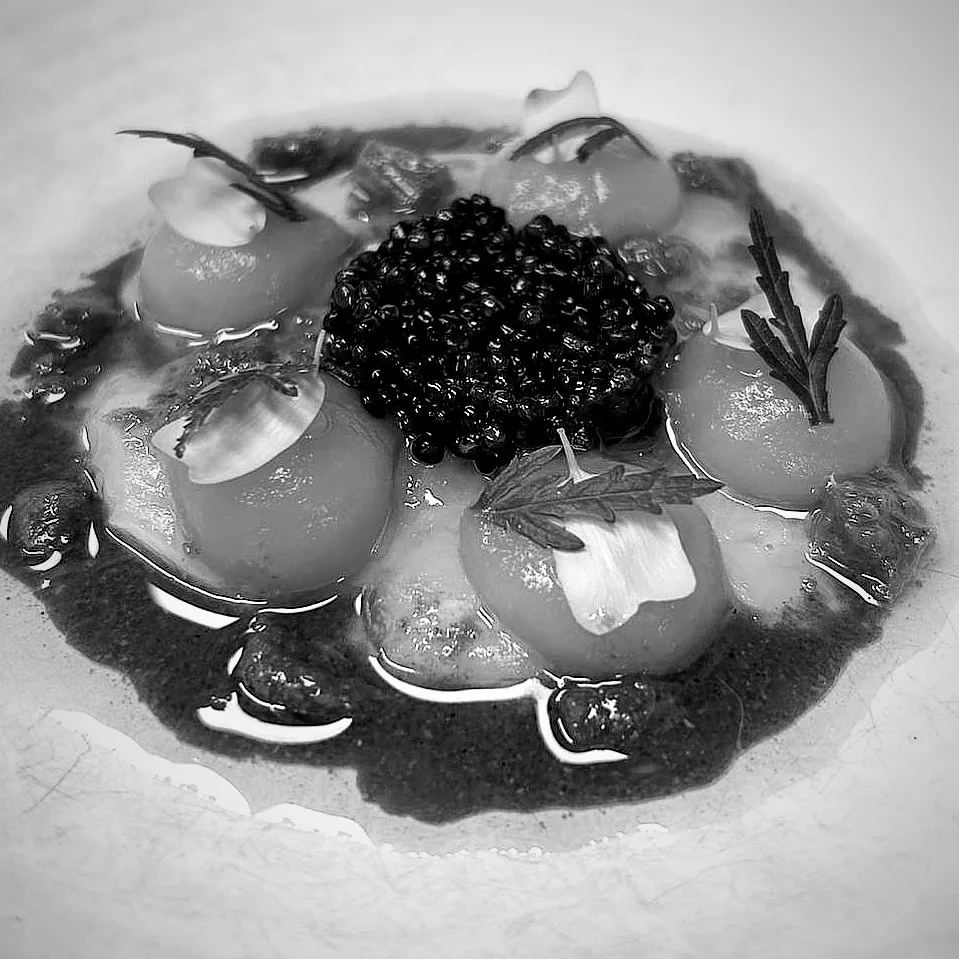 Prins van Terbregge — photo 15