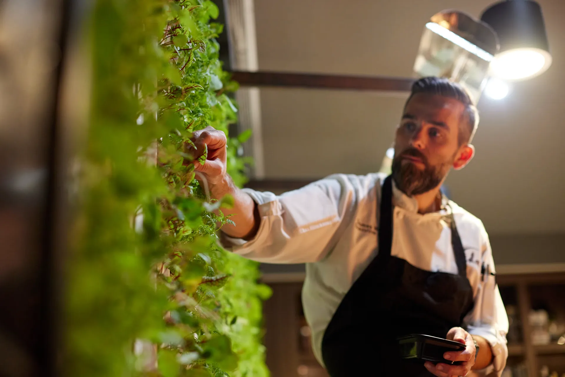 Vida Restaurant — kitchen