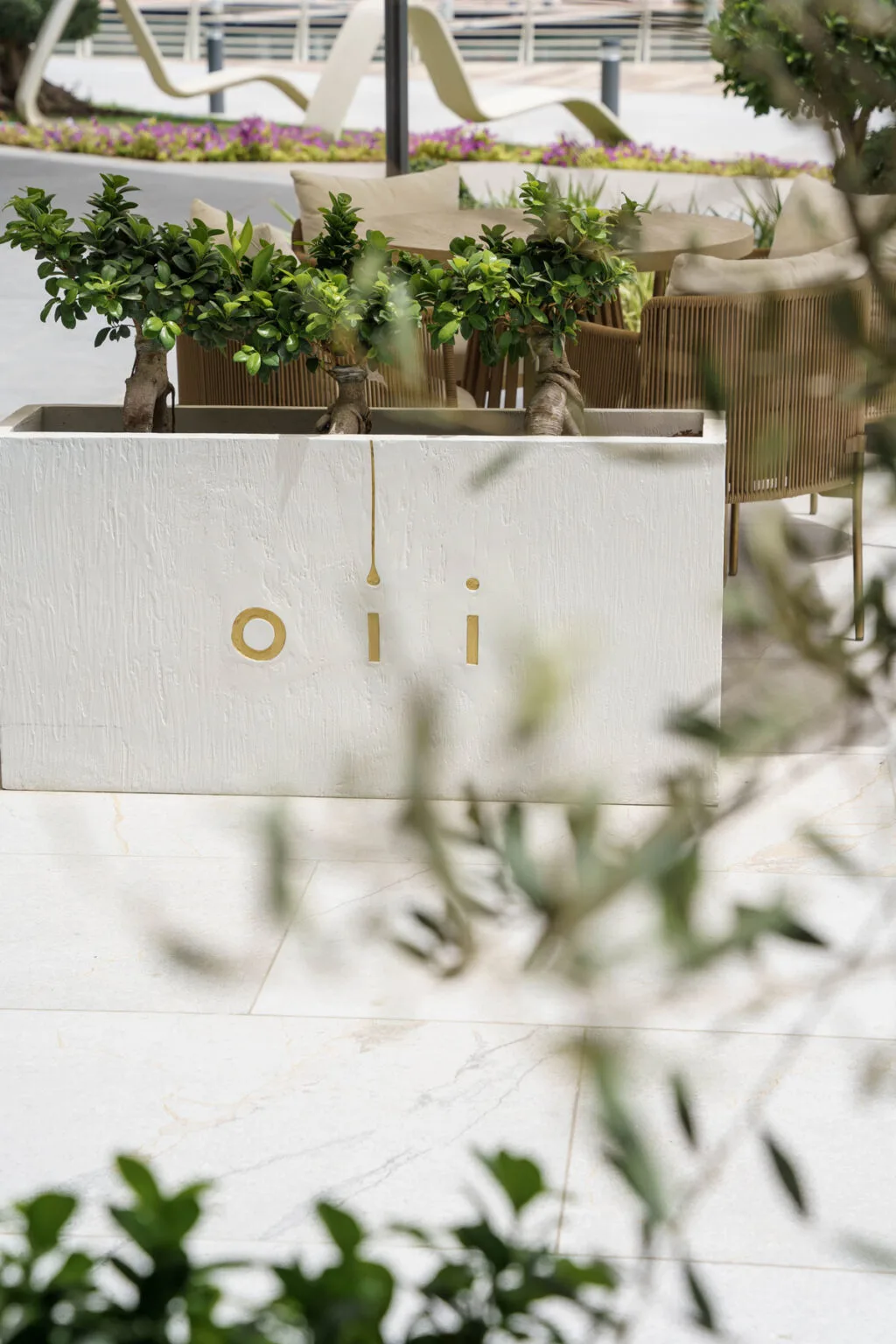 Oii — photo 9