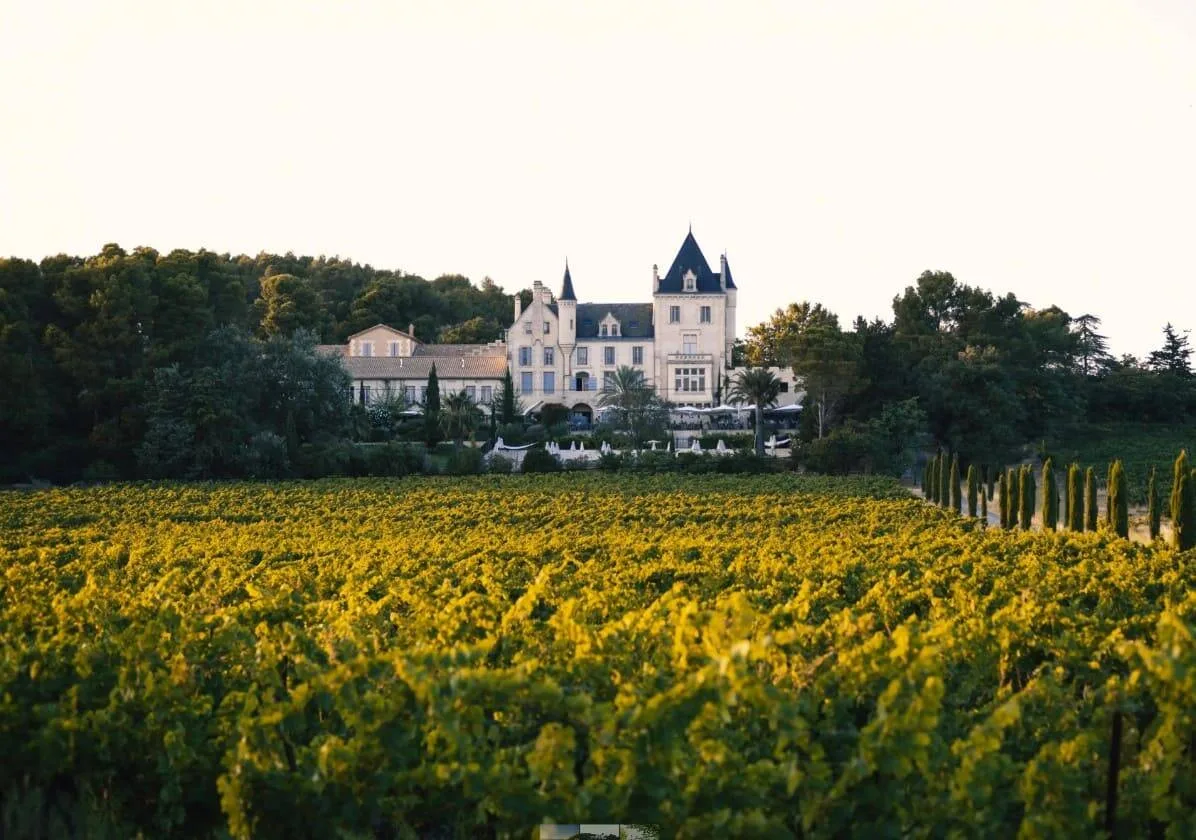 Méditerranéo - Château Capitoul — atmosphere