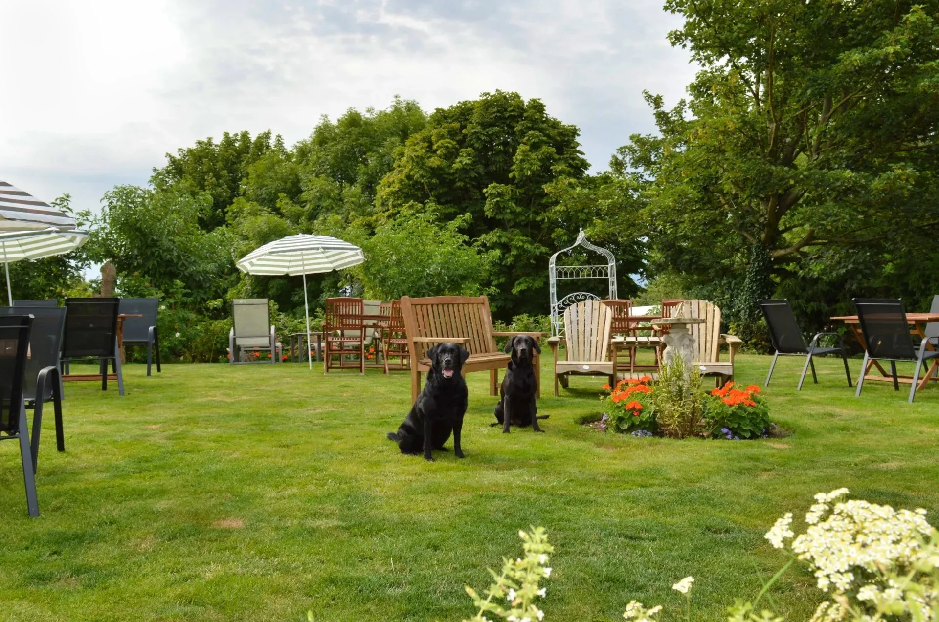 Wolds Restaurant — photo 16