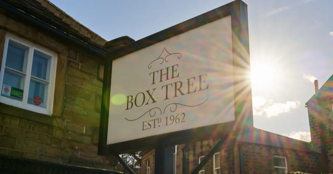 Box Tree — photo 16
