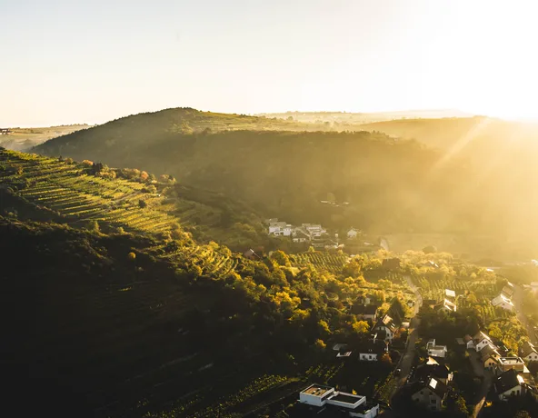 Weingut Nigl — photo 39