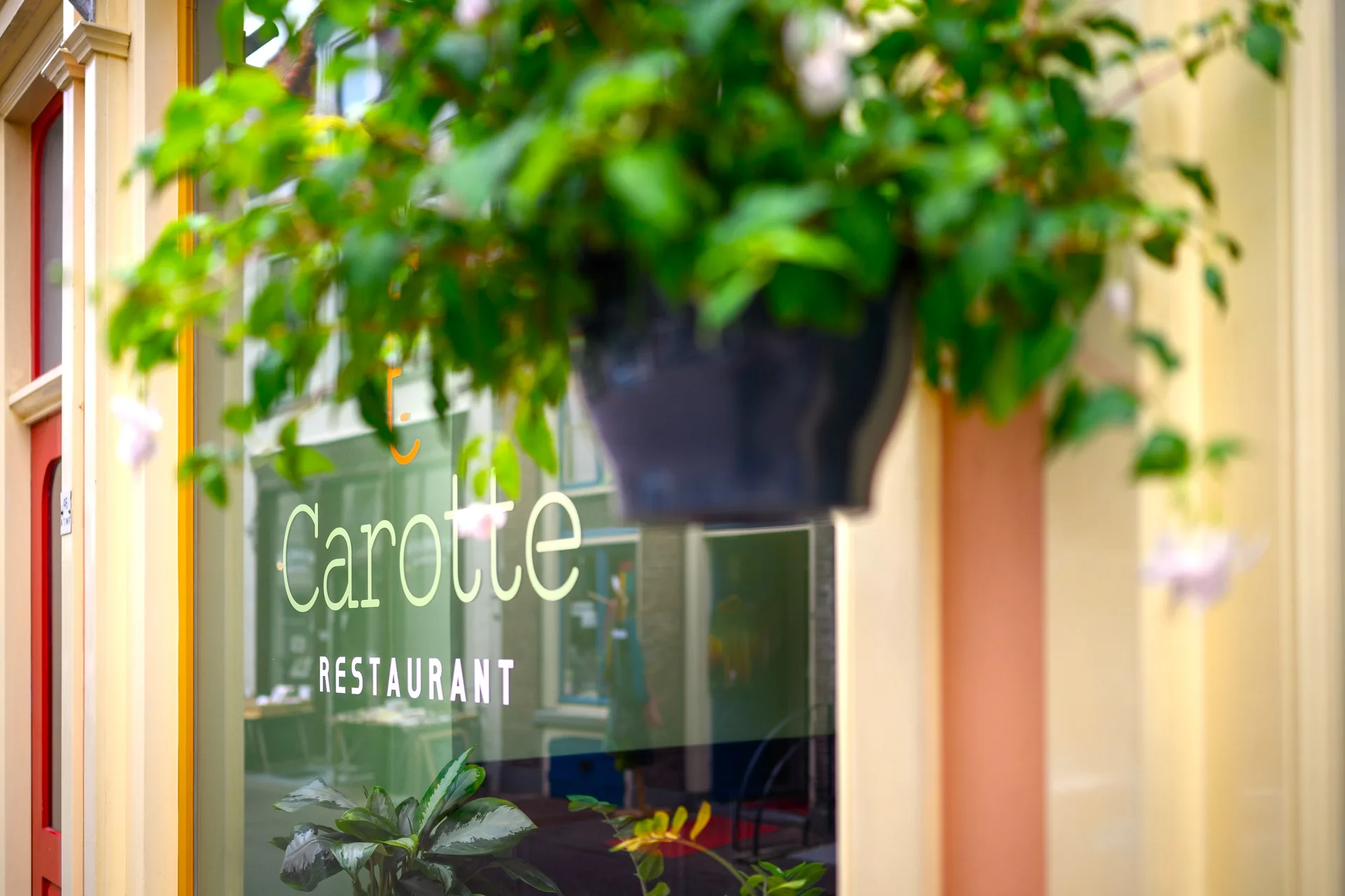 Carotte — photo 12