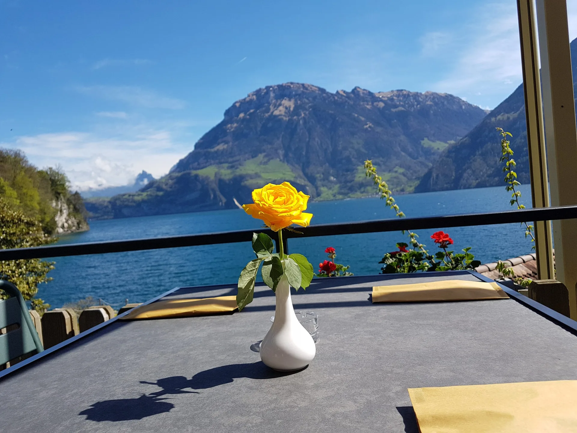 Fischli am See — photo 17