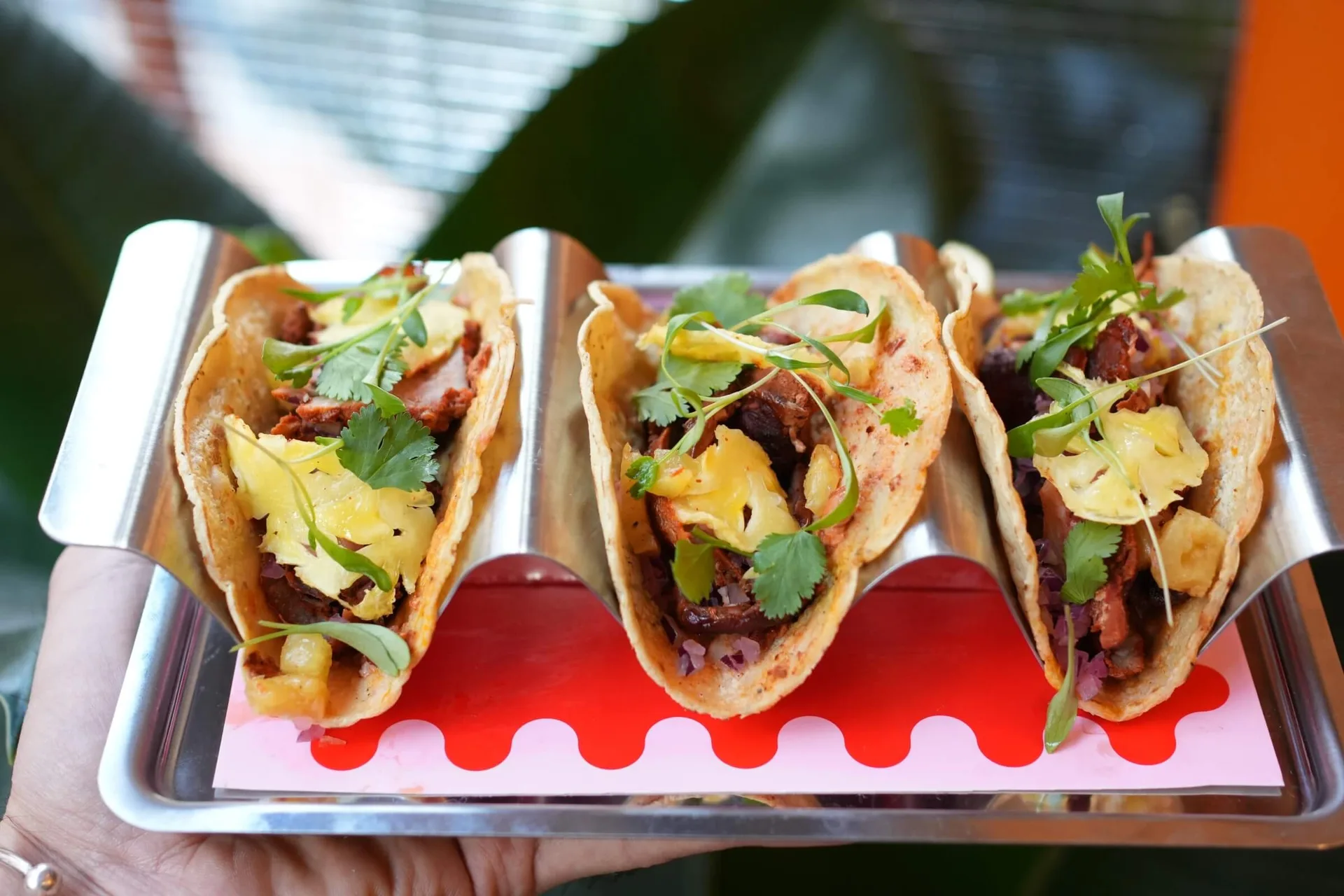 Taco Mesa — photo 17
