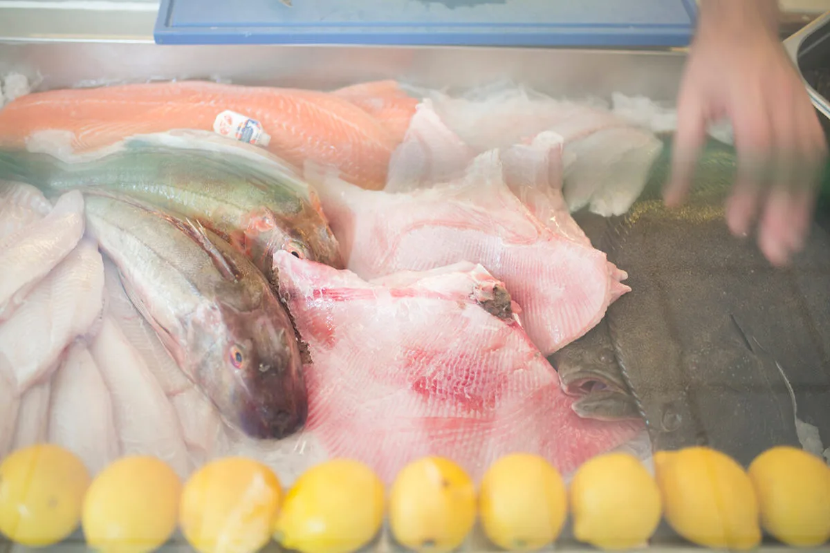 Beaucoup Fish — photo 18