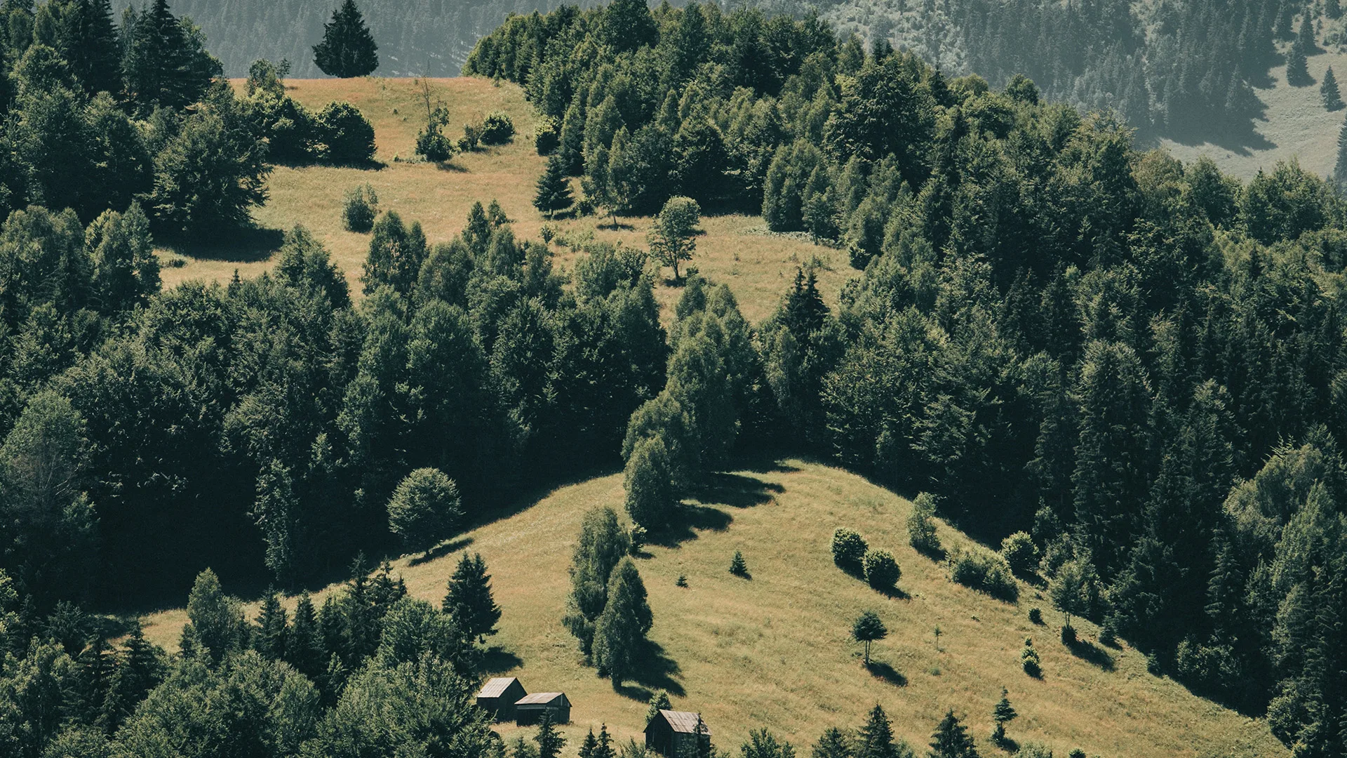 Collina am Berg — photo 35