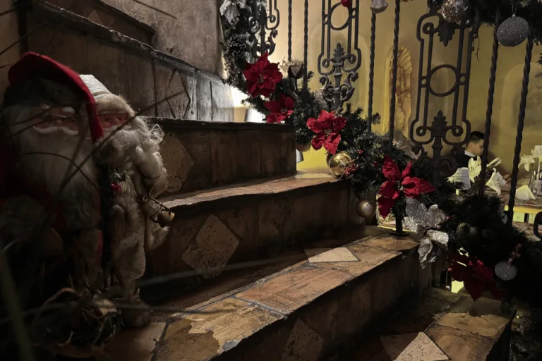 CASA NOVA — photo 98