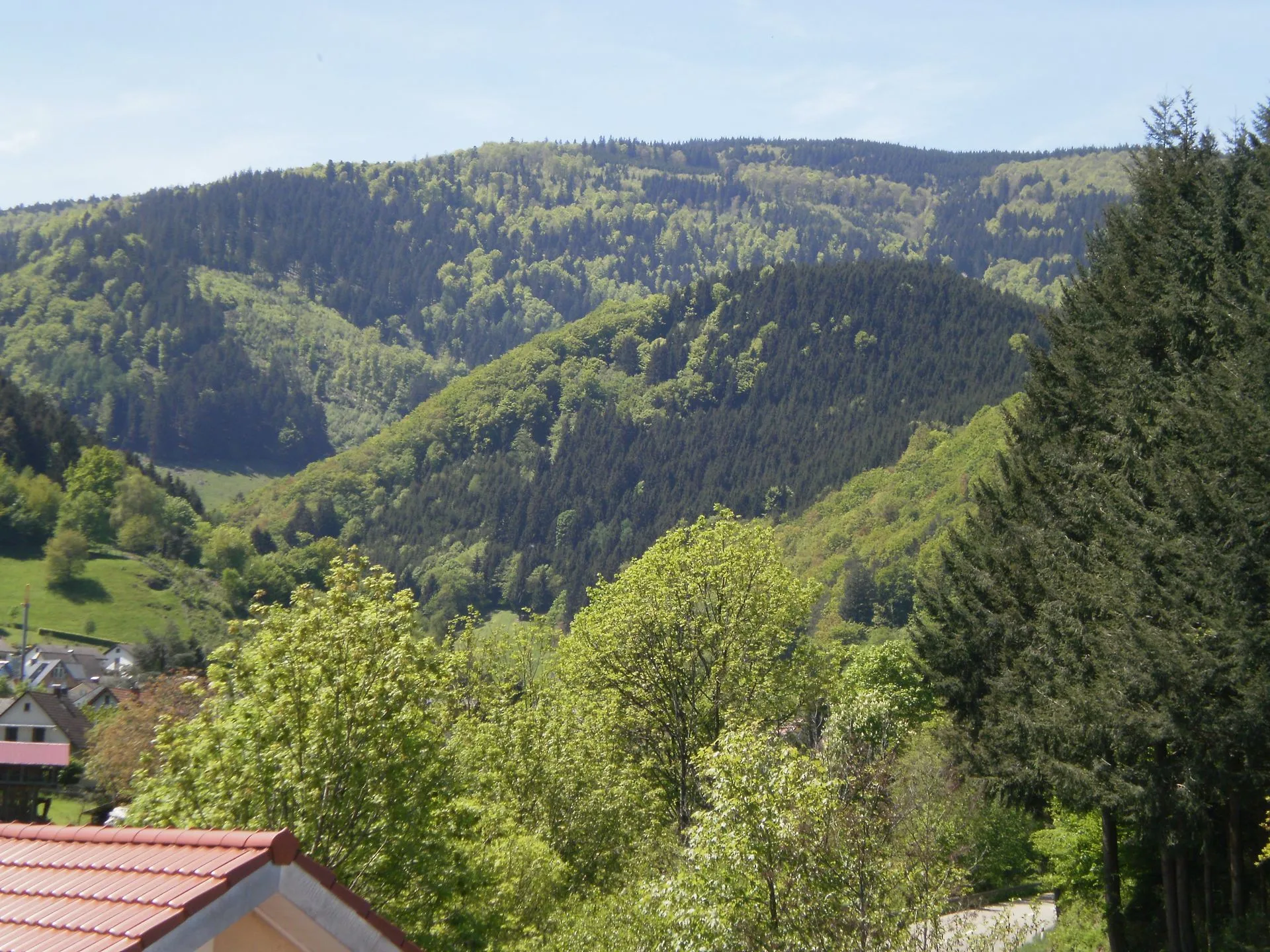 Gasthaus Sternen Post — photo 4