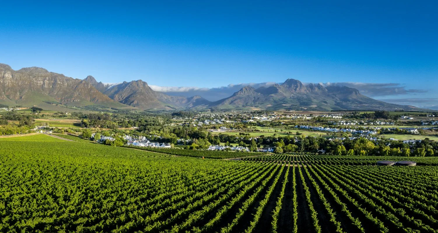 Kleine Zalze Restaurant — photo 68
