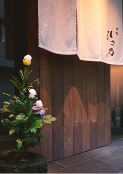 Oimatsu Hisano, Osaka