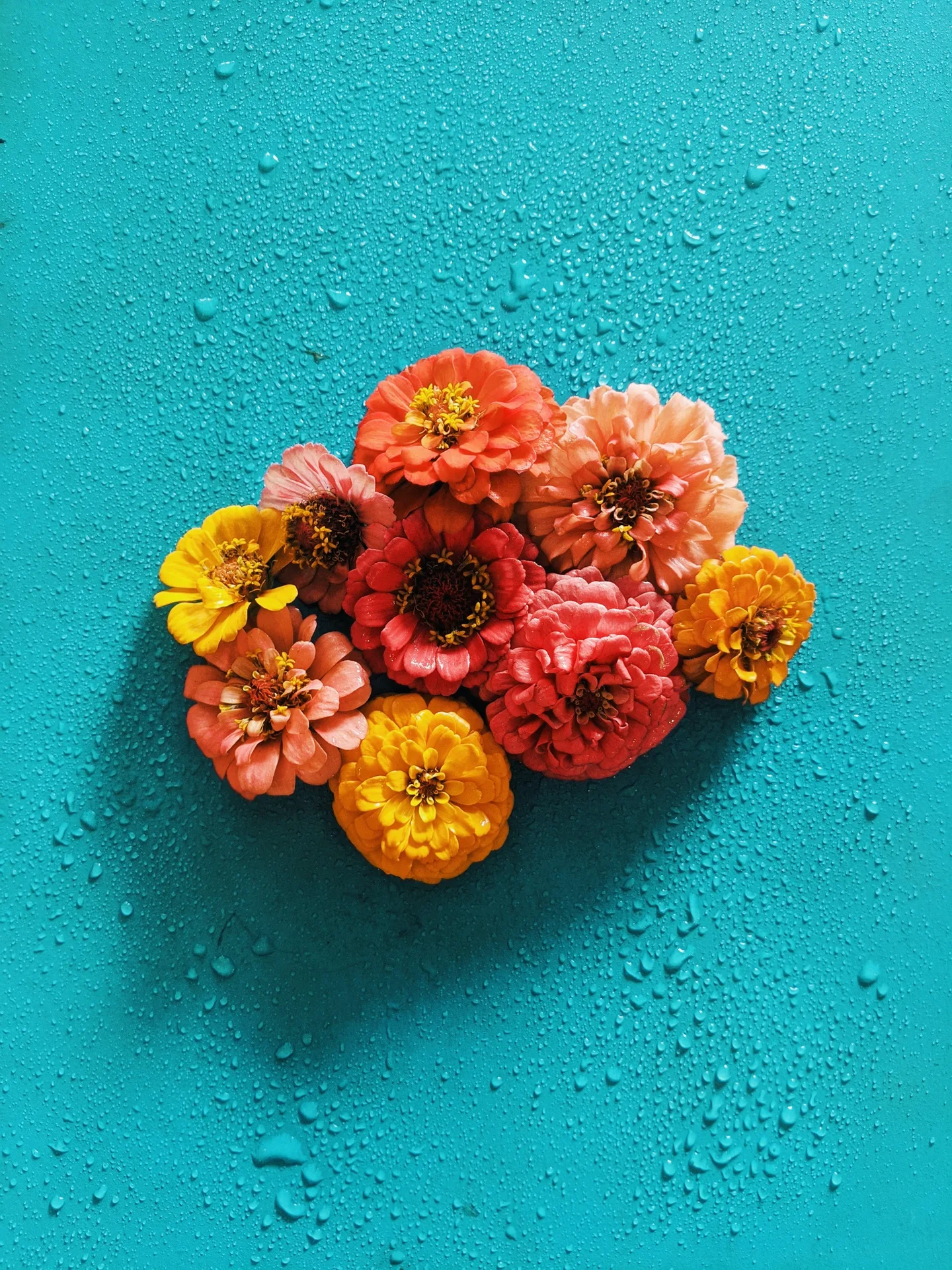 Tuna Blanca — photo 16
