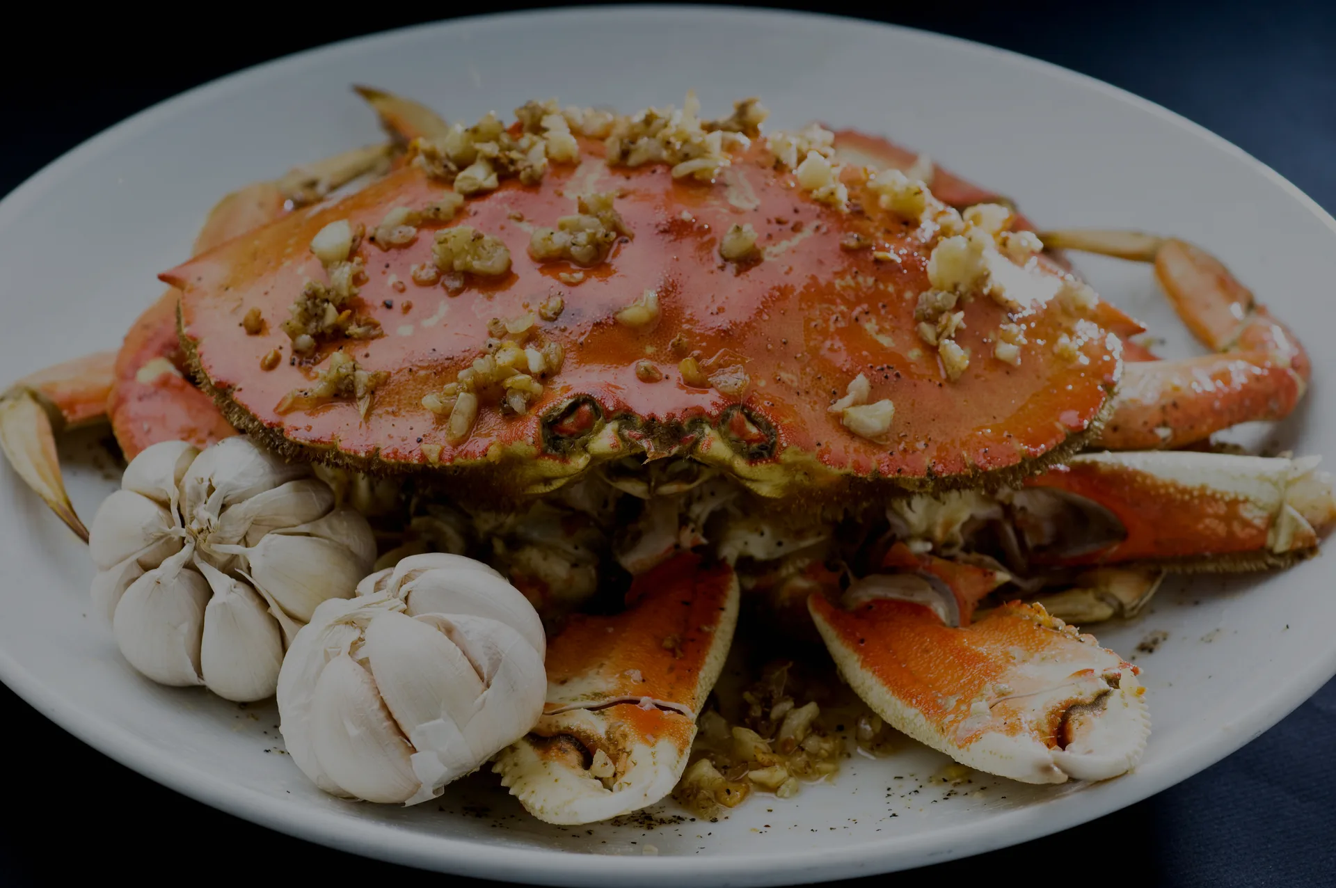 Crustacean — photo 16