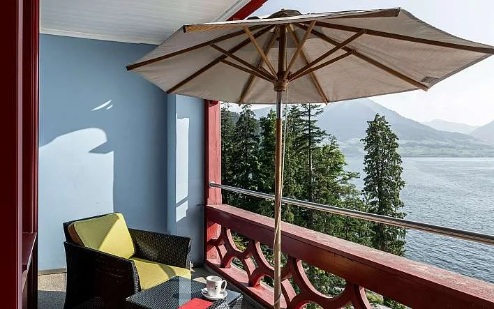 Hotel Vitznauerhof — photo 22
