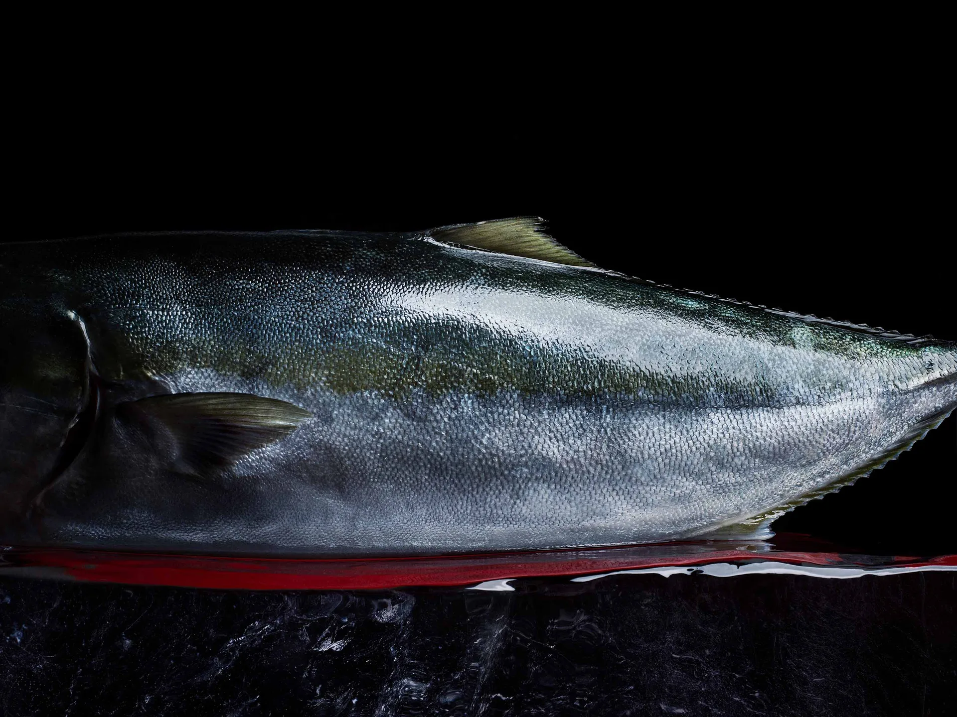Gaijin, Helsinki