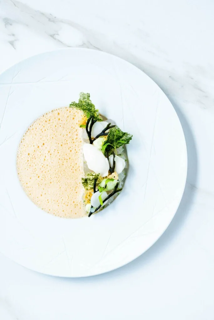 Zenith — food