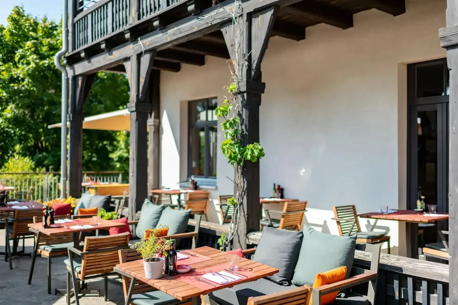 Restaurant O’Vino — photo 81