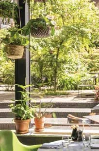Oriole Garden Bistro — atmosphere