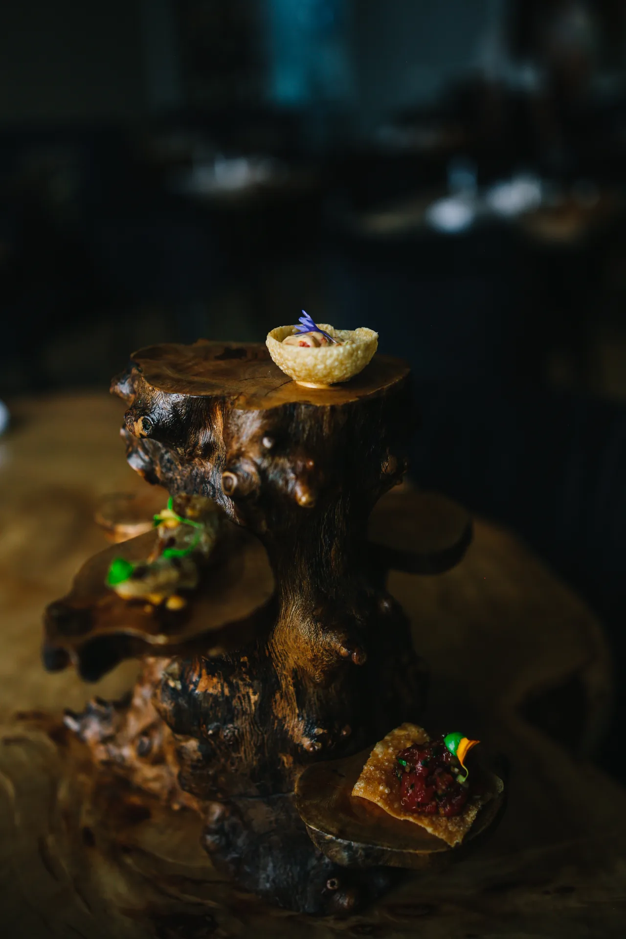 Terroir — photo 13