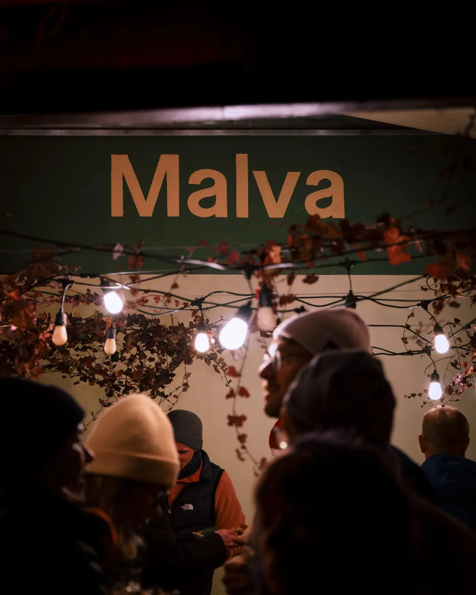 Malva — photo 6
