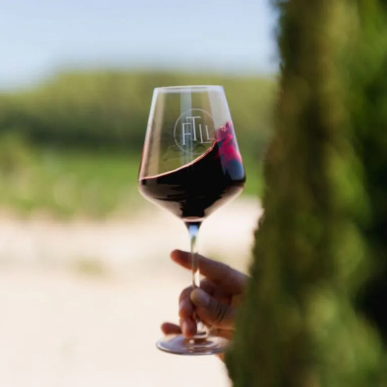 Martin - Domaine de Primard — drink