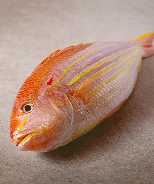 ortensia — food