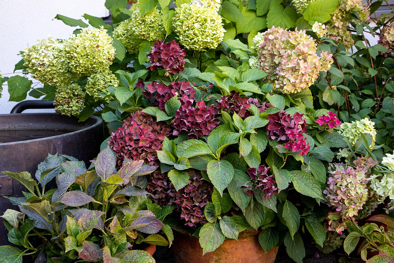 Hugenhof — photo 11