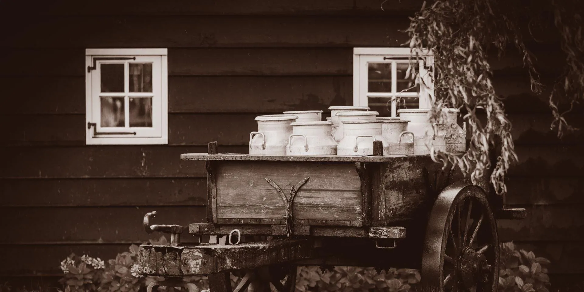 Gasthof Ochsen — drink