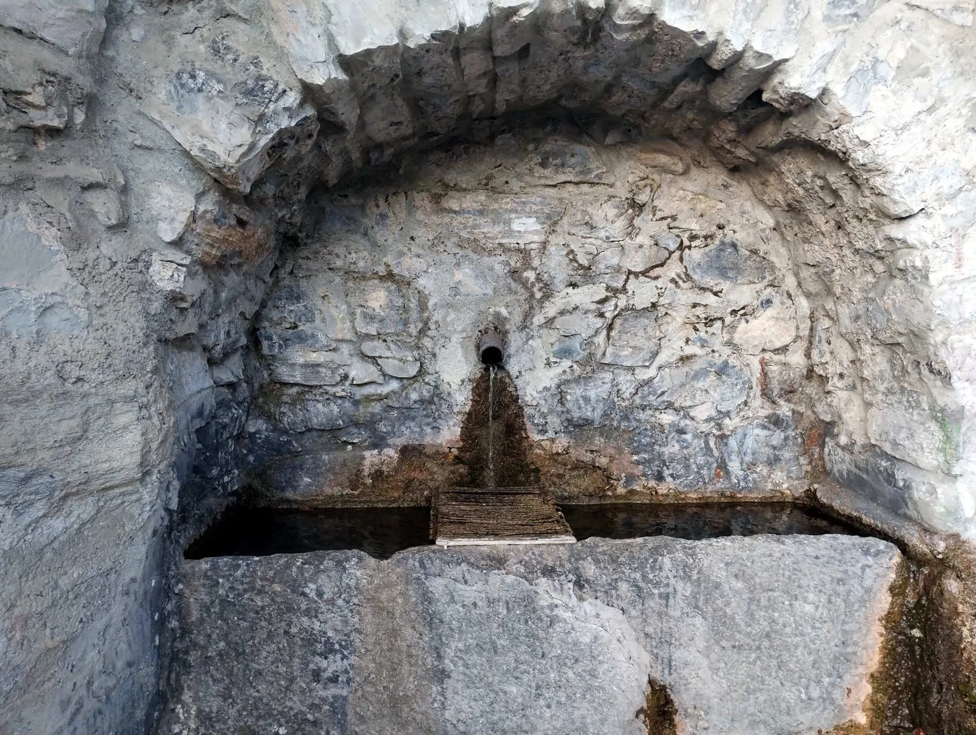 Al-marnich — photo 22