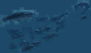 Zarate, Bilbao