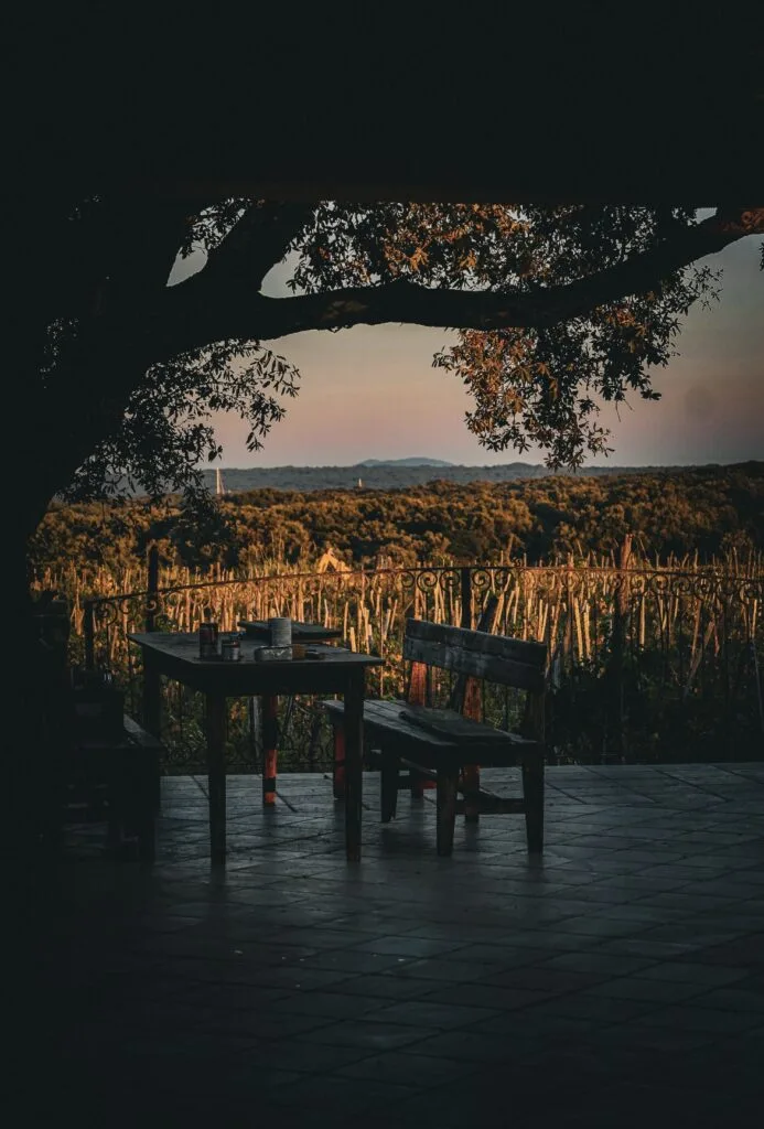 Konoba Alavija — atmosphere
