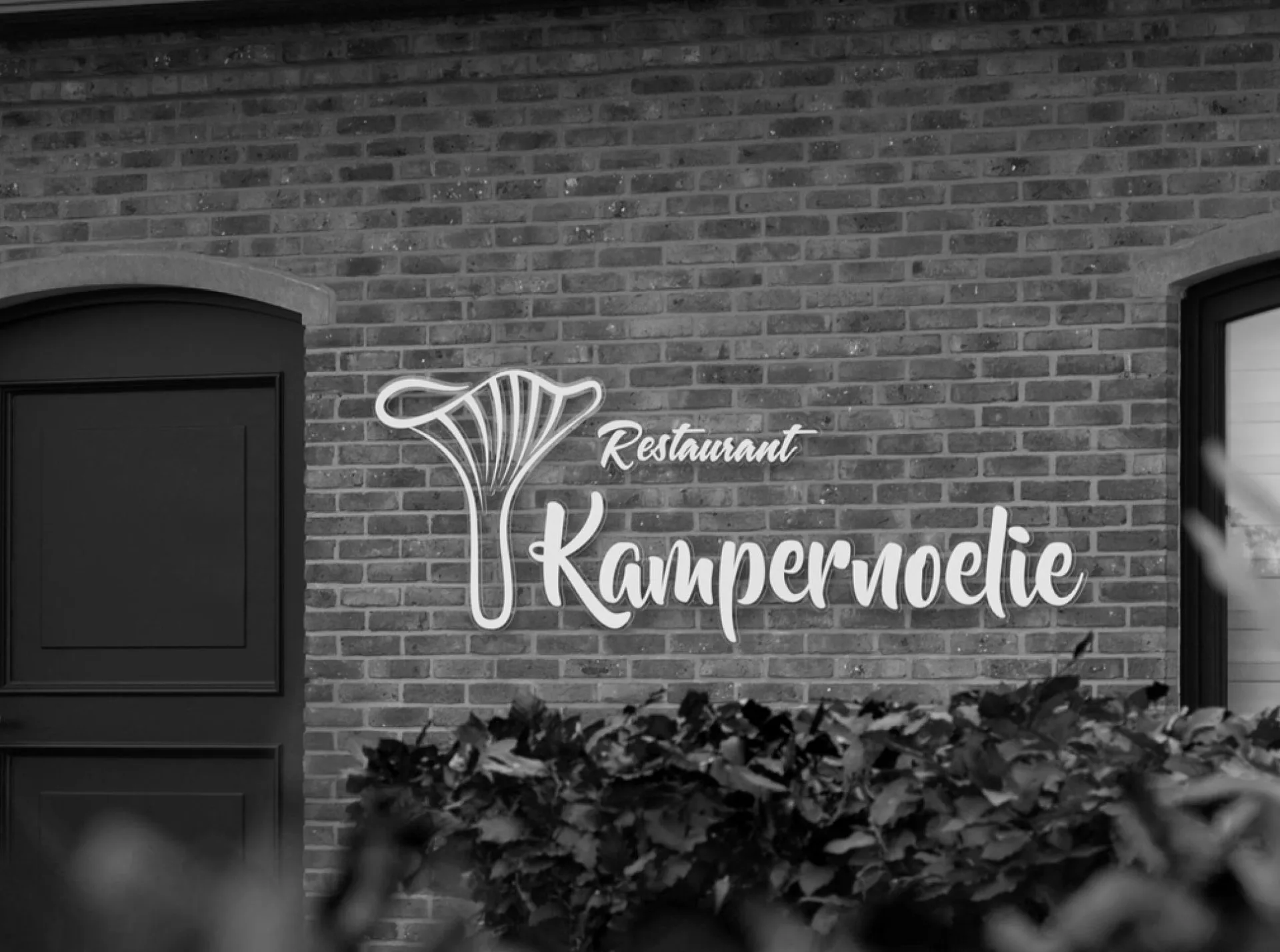 Kampernoelie — photo 6
