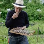 Robert Stolz eat.share.live — photo 61