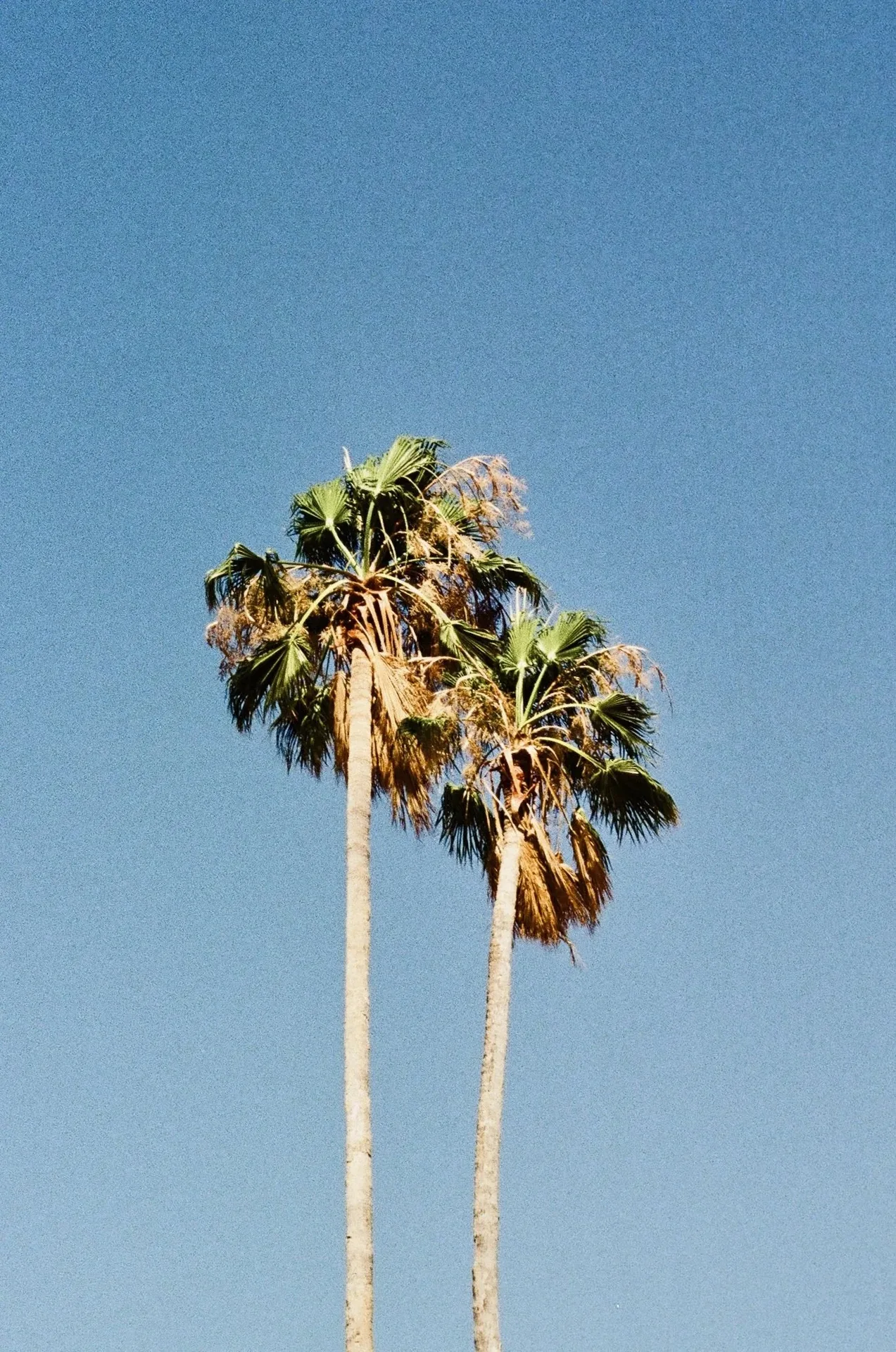 Lola konoba & bar — photo 18