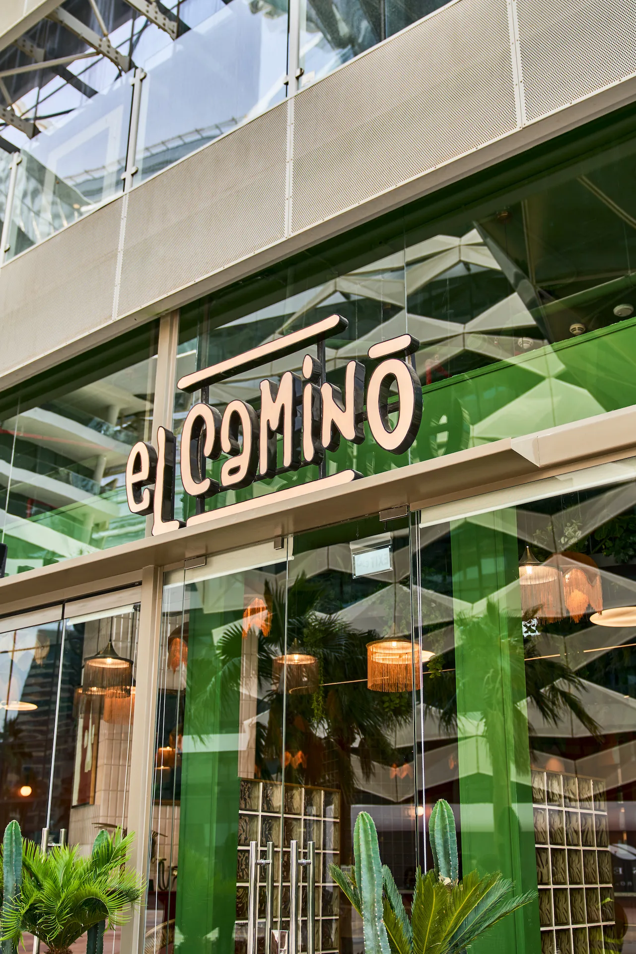 El Camino — photo 46