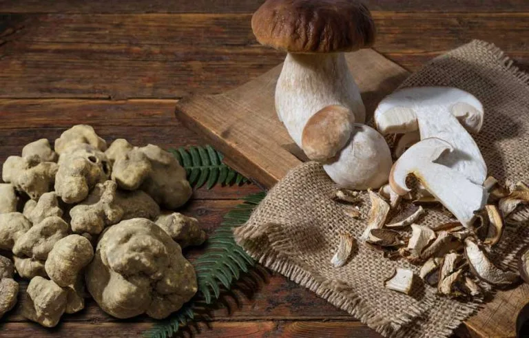 Madama Vigna — food