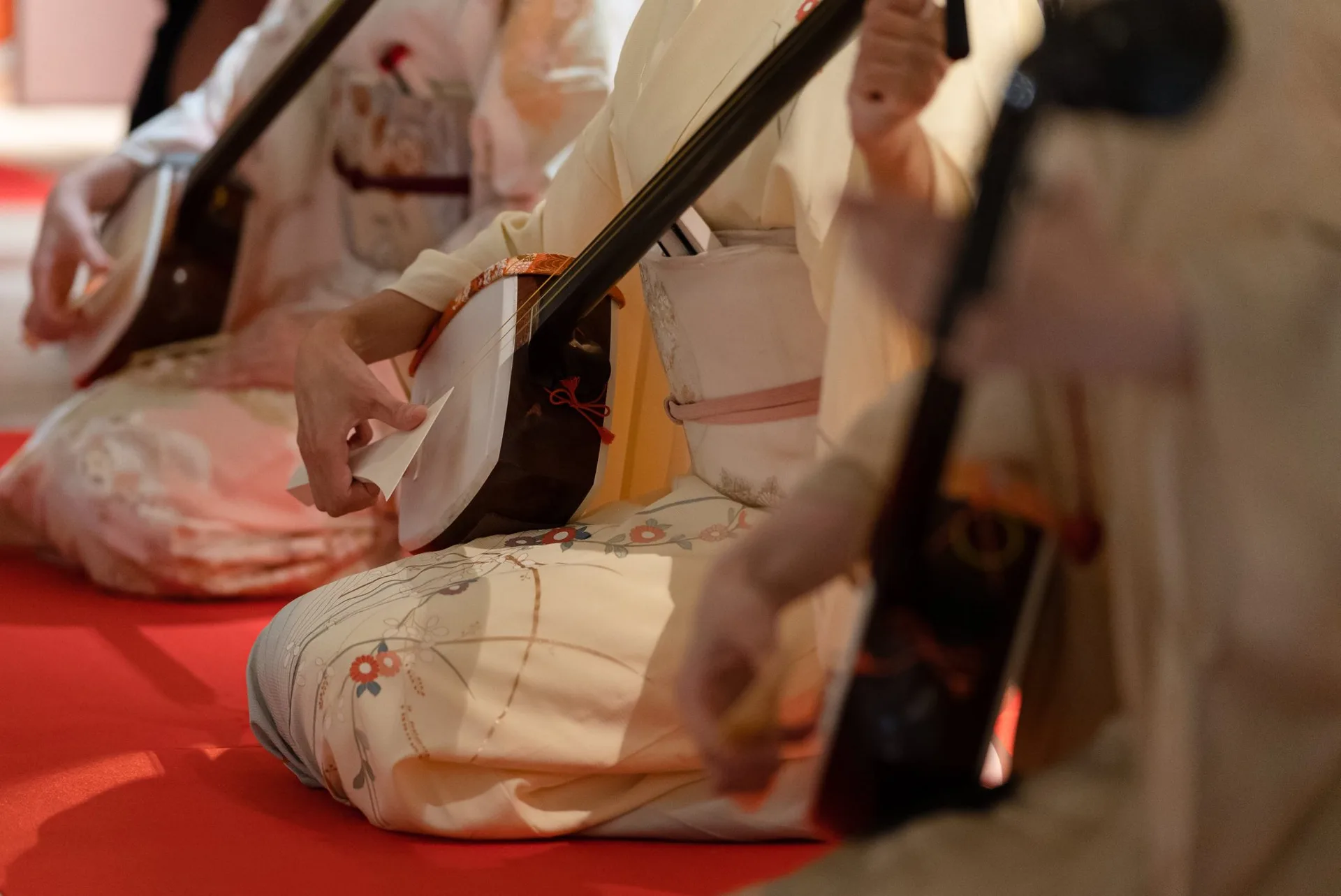 Matsunozushi — photo 81