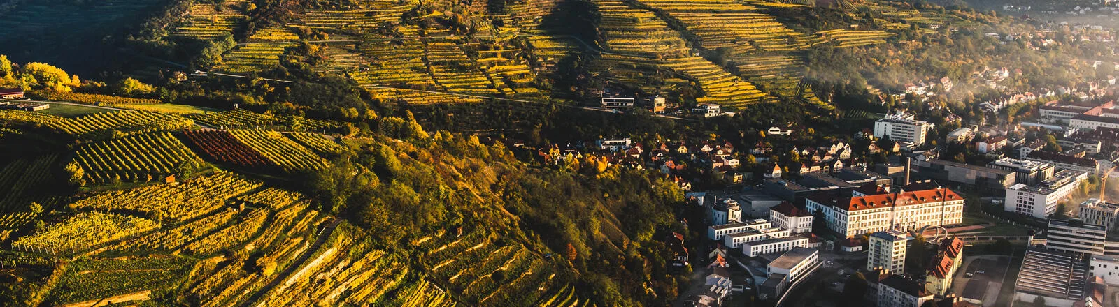 Weingut Nigl — photo 41