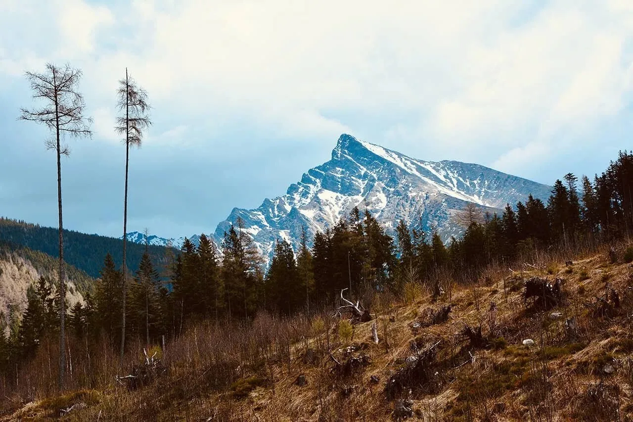 Reštaurácia Liptovský dvor — photo 44