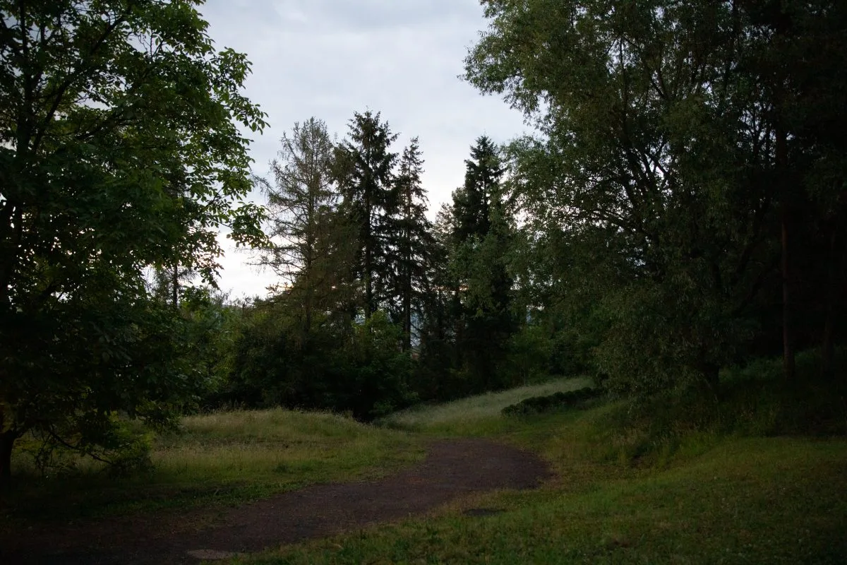 Vulcano Lindenhof — photo 28